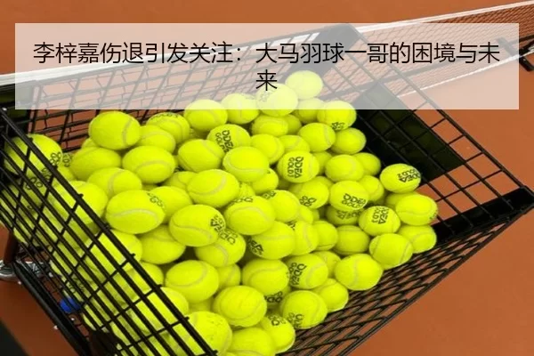 li-zi-jia-shang-tui-yin-fa-guan-zhu-da-ma-yu-qiu-yi-ge-de-kun-jing-yu-wei-lai-2-431.jpg