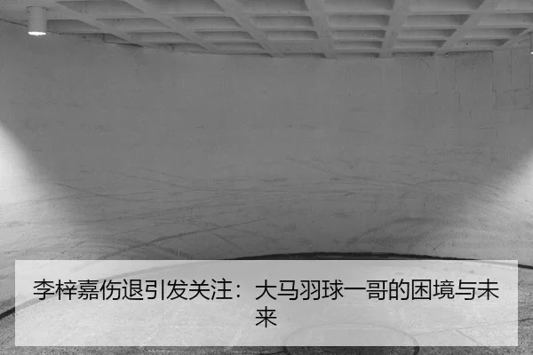 李梓嘉伤退引发关注：大马羽球一哥的困境与未来